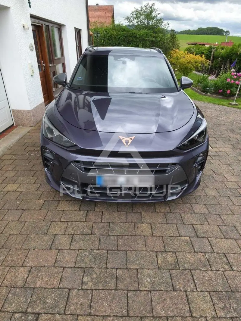 2025 Cupra Other