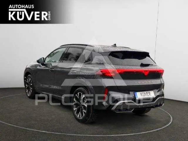 2025 Cupra Other