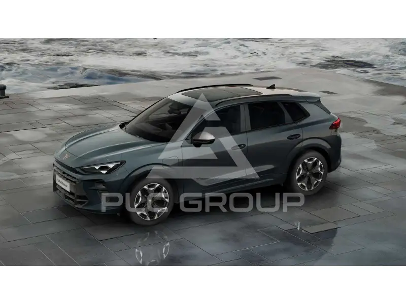 2025 Cupra Other
