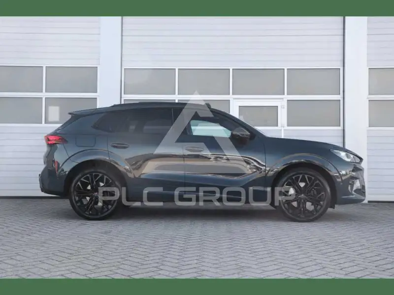 2025 Cupra Other