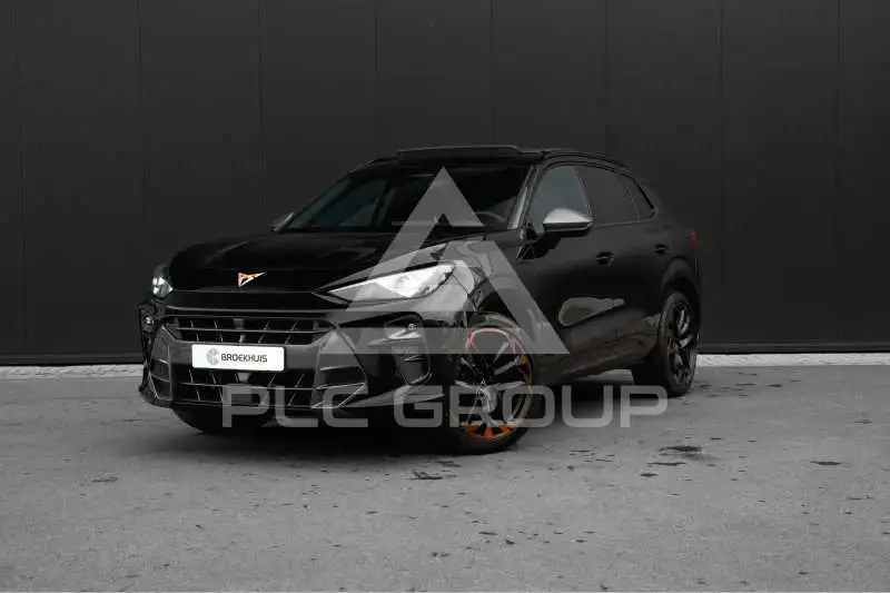 2025 Cupra Other