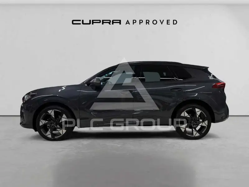 2025 Cupra Other