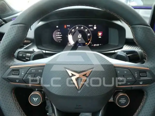 2025 Cupra Other