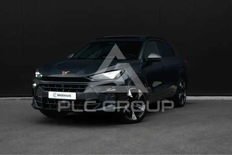 2025 Cupra Other