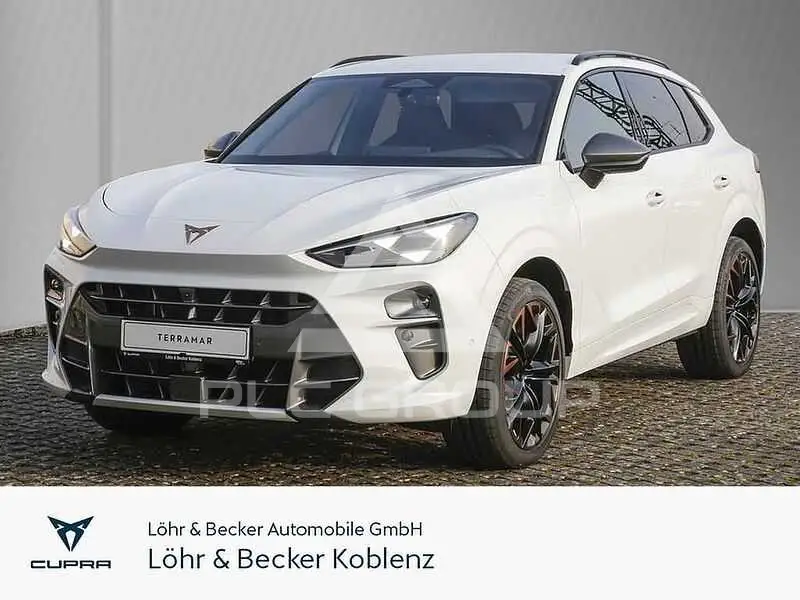2025 Cupra Other