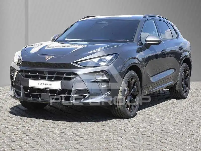 2025 Cupra Other