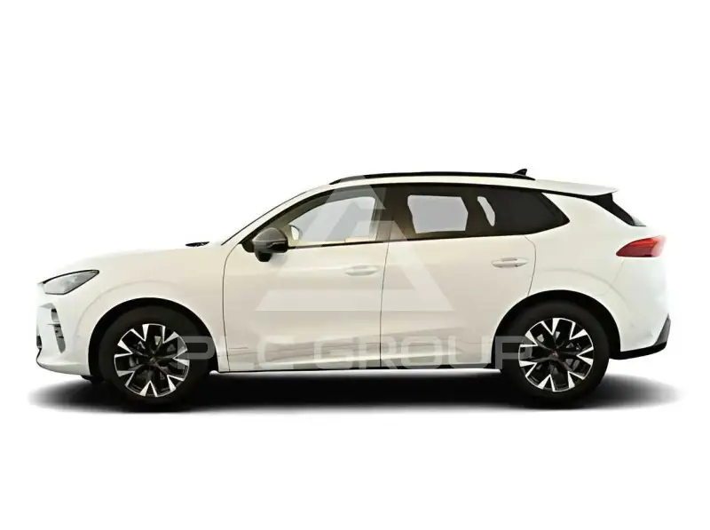 2025 Cupra Other