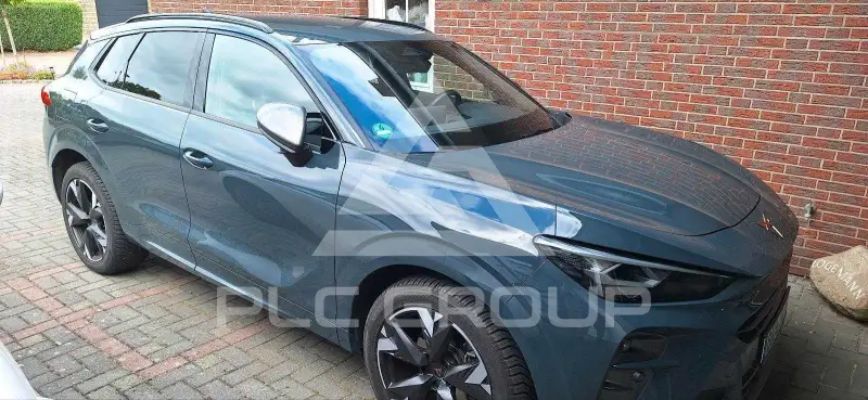 2025 Cupra Other