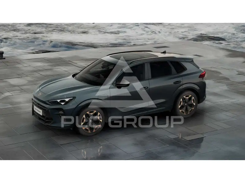 2025 Cupra Other