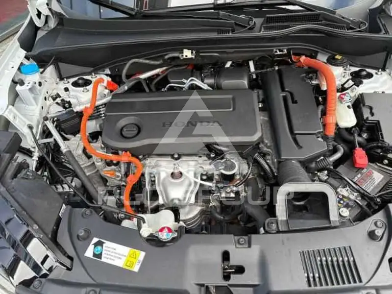 2025 Honda 