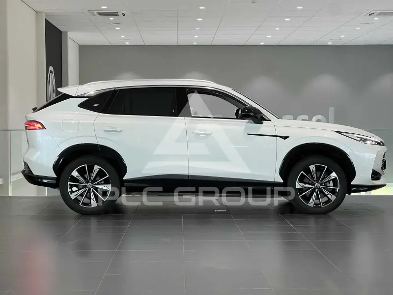 2025 MG 