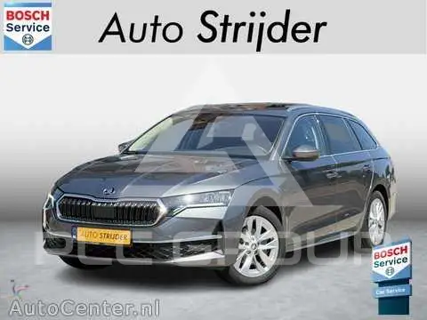 2025 Skoda Octavia