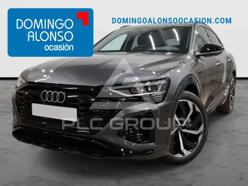 2025 Audi Q8