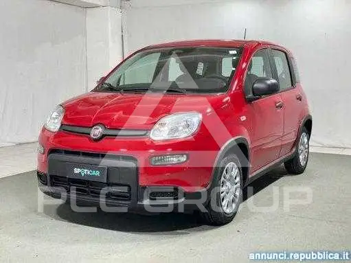 2025 Fiat Panda