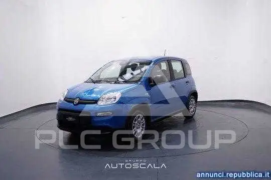 2025 Fiat Panda