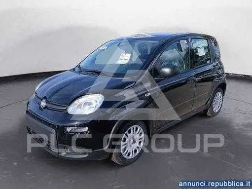 2025 Fiat Panda