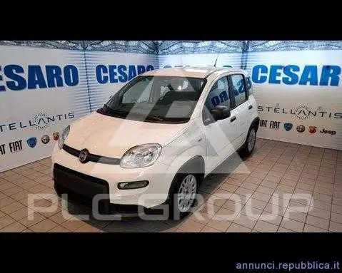 2025 Fiat Panda