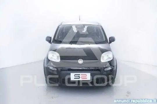 2025 Fiat Panda