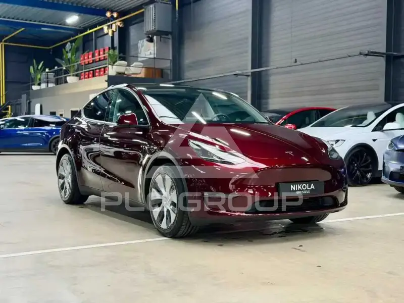 2025 Tesla Model Y