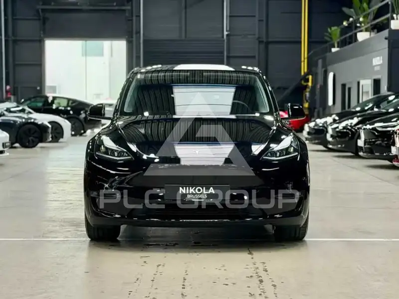 2025 Tesla Model Y