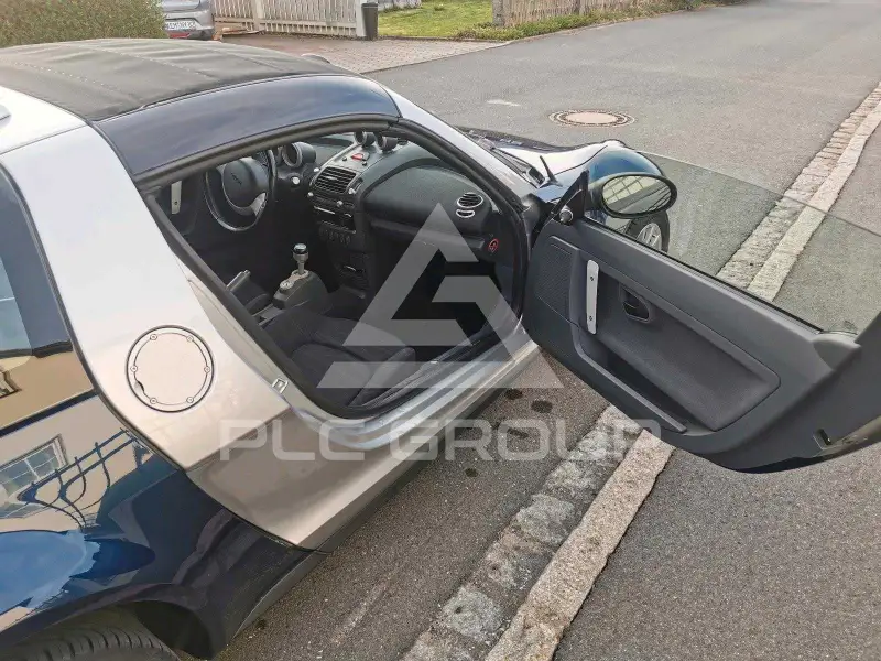 2025 Smart 
