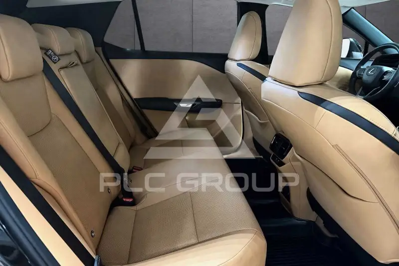 2025 Lexus RZ