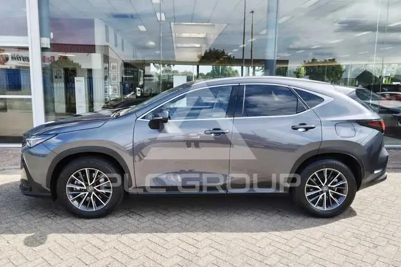2025 Lexus NX