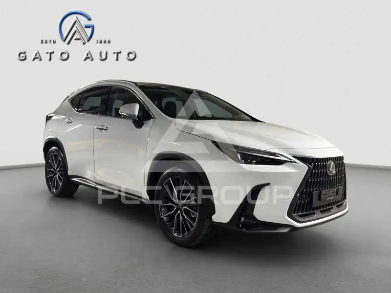 2025 Lexus NX