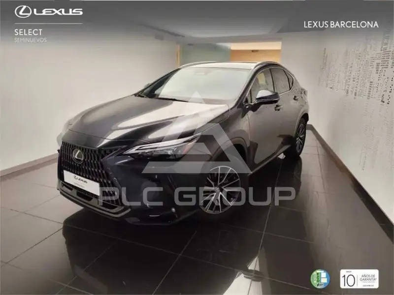 2025 Lexus NX