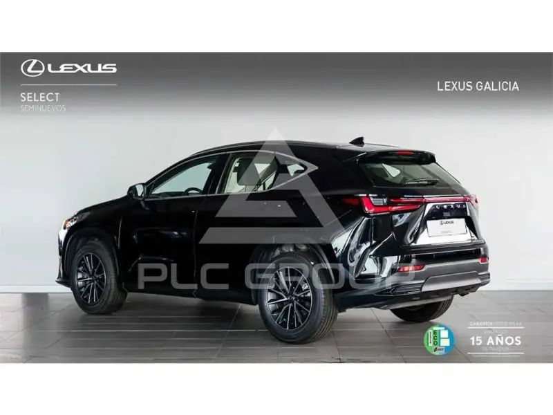 2025 Lexus NX