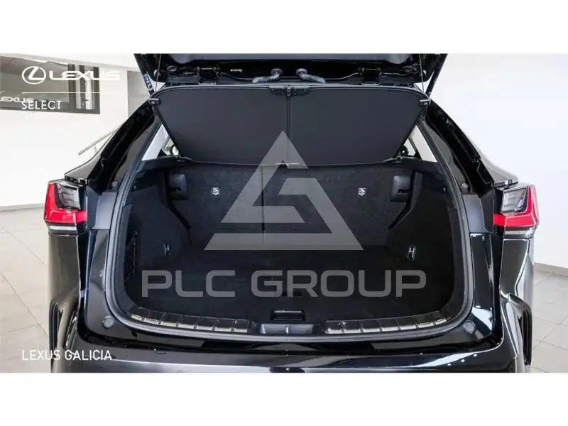 2025 Lexus NX