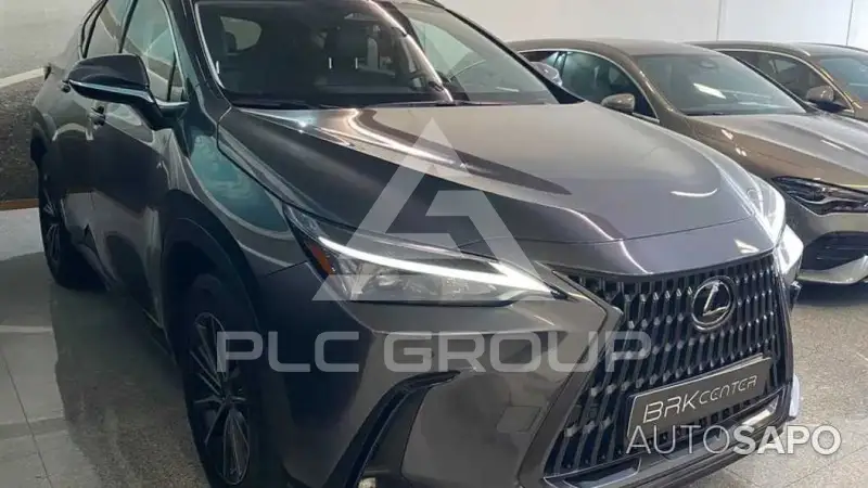 2025 Lexus NX