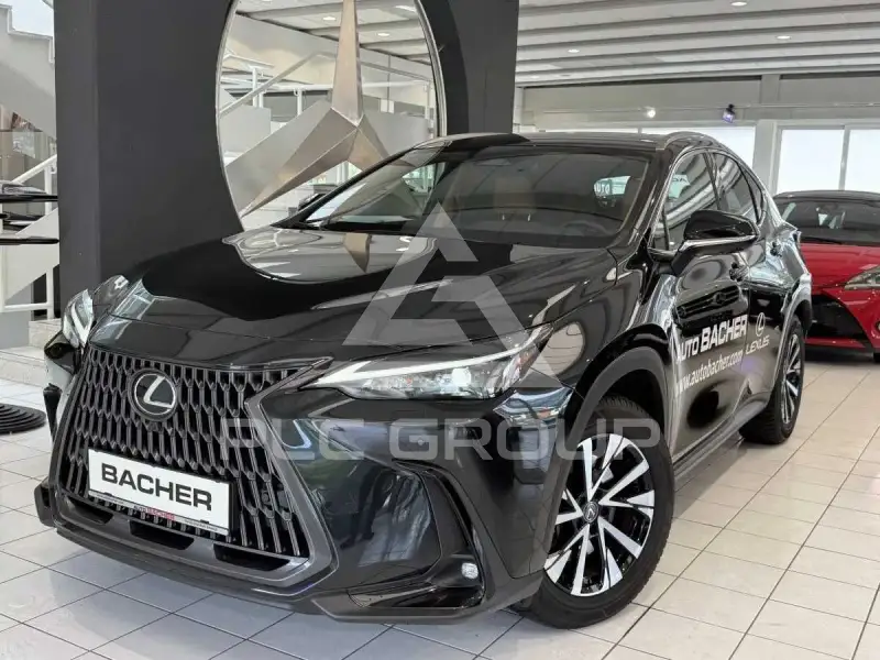2025 Lexus NX