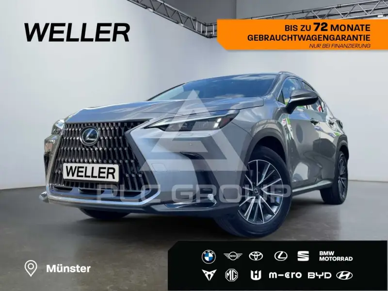 2025 Lexus NX