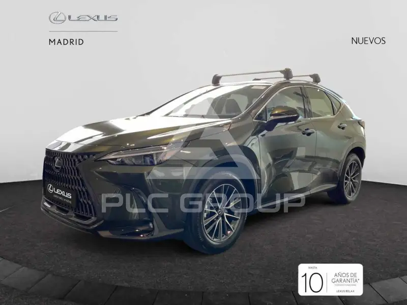 2025 Lexus NX