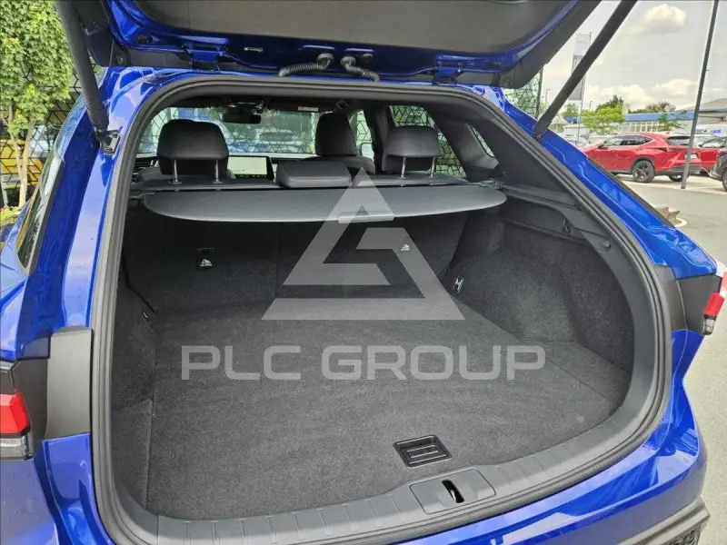 2025 Lexus RX