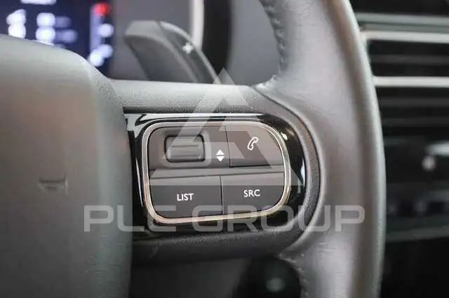 2025 Citroen C5