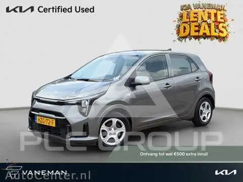 2025 KIA Picanto
