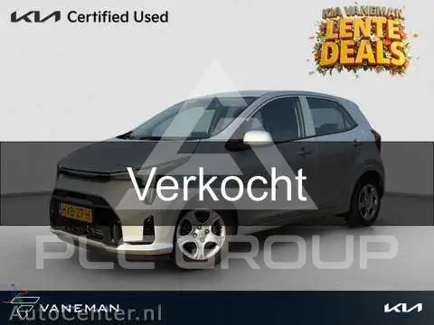 2025 KIA Picanto