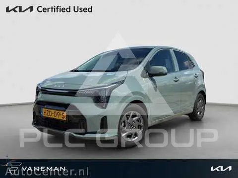 2025 KIA Picanto