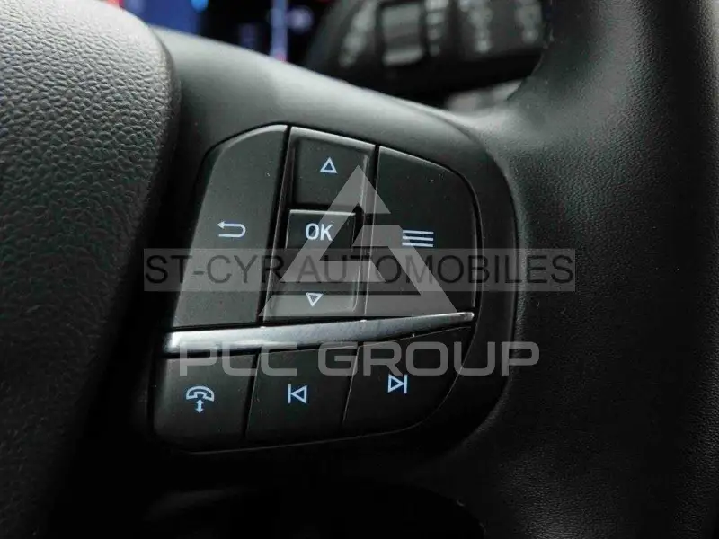 2025 Ford Tourneo