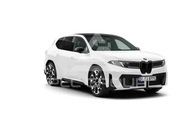 2026 BMW iX