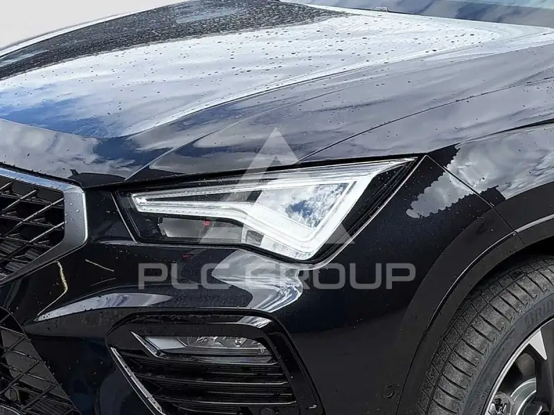 2026 Cupra Other