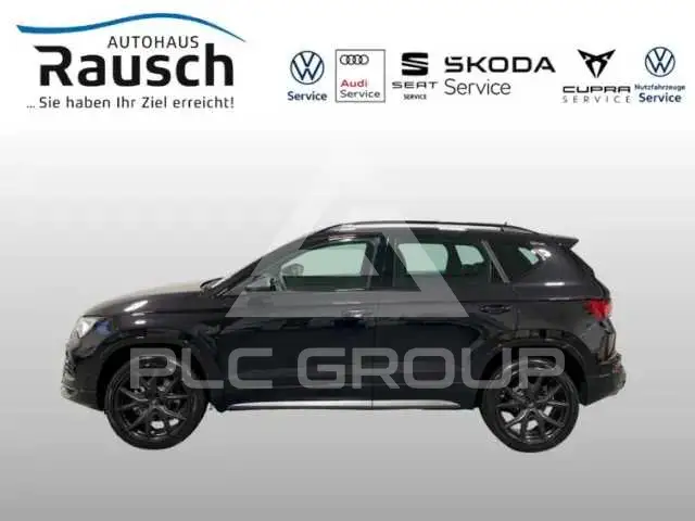 2026 Cupra Other