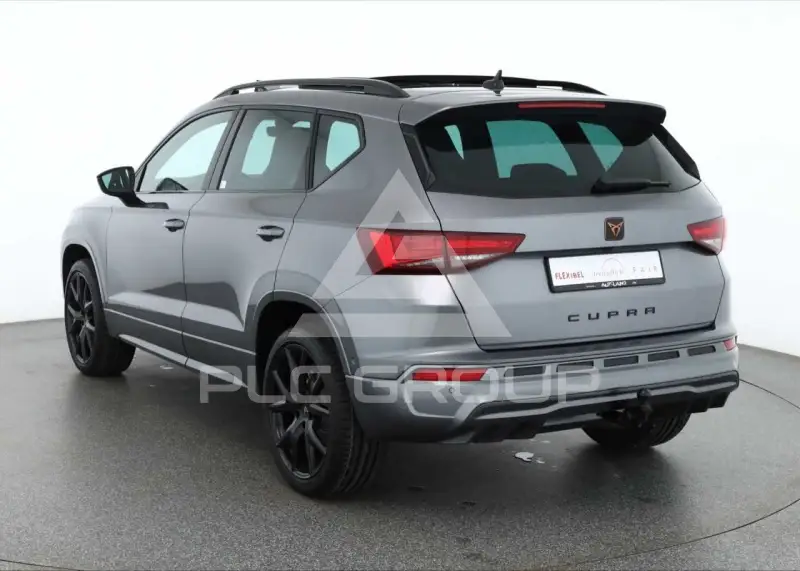 2026 Cupra Other