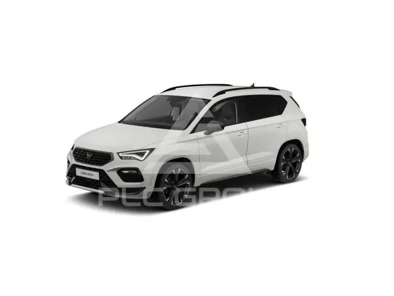 2026 Cupra Other