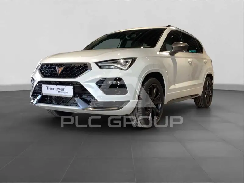 2026 Cupra Other