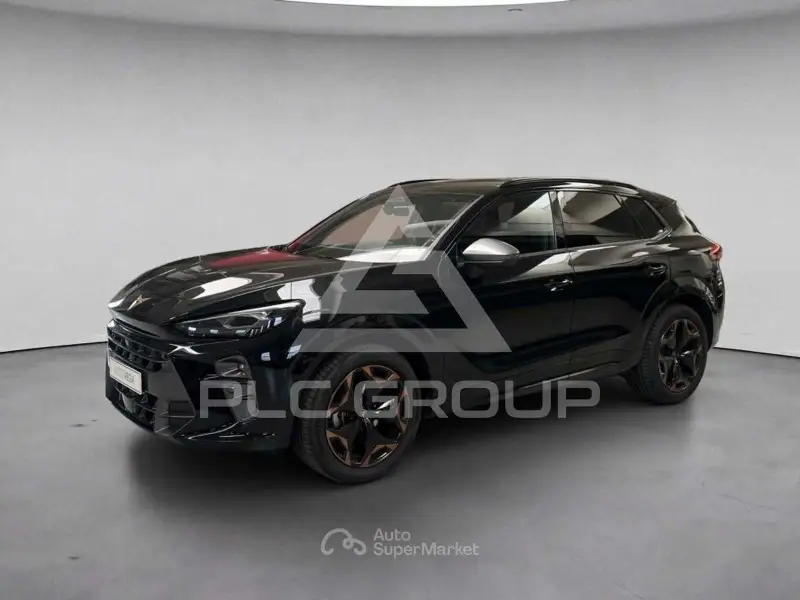 2026 Cupra Other
