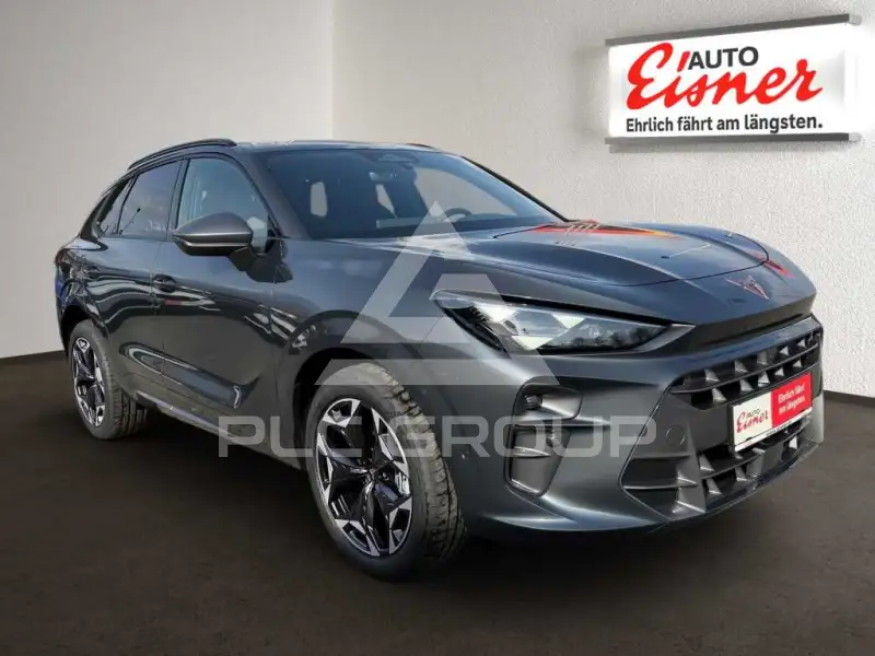 2026 Cupra Other