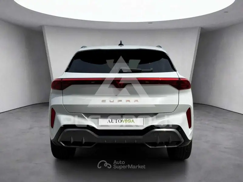 2026 Cupra Other